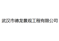 武漢德龍景觀（中山）